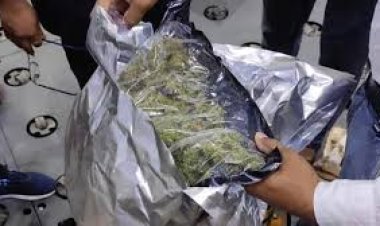 साहब! आसिफ बेचता है क्रासिंग पर गांजा