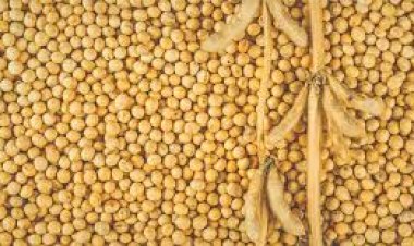 समर्थन मूल्य छह हजार को लेकर किसान करेंगे चक्का जाम