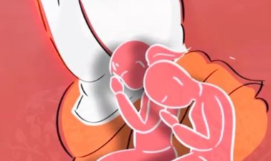 क्षमावाणी पर्व पर उत्तम क्षमा।